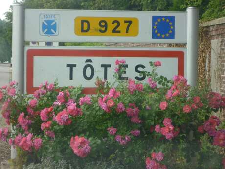 Marché de Tôtes