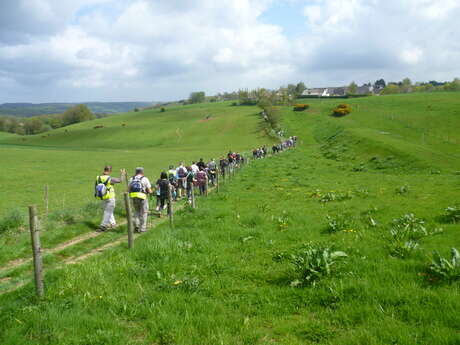 Trail