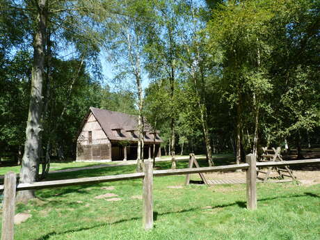 Sur les pas du chevreuil aux bois d'Argent