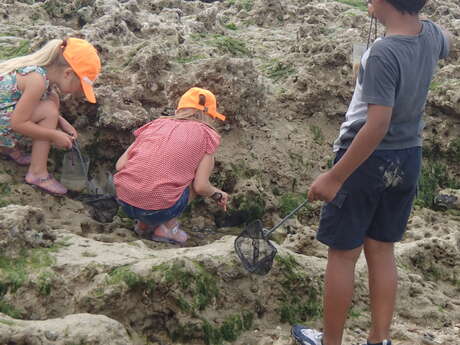 [Activité enfant] Activité Pêche à pied et Land Art