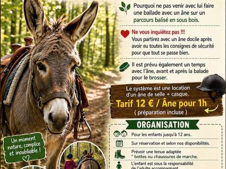 Balade à dos d'âne en autonomie
