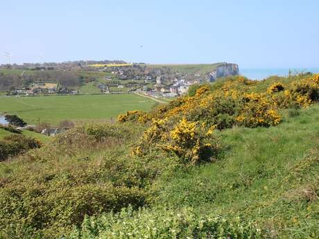 Circuit nature "le coteau des falaises"