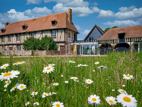 Village low-tech et conférence « Faire du feu sans fumée »