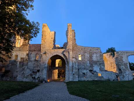 Pierres en Lumières 2025 à l'Abbaye de JUMIEGES