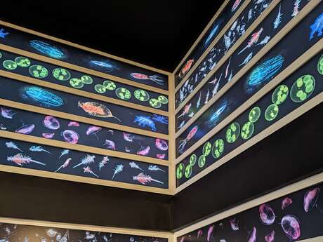 [Nuit Européenne des Musées] Visite nocturne de l'Estran