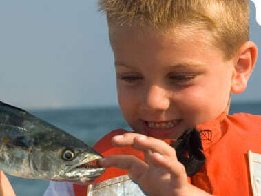 Concours de pêche en mer