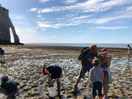 L'Explorateur : Les rendez-vous famille - Pêche à pied à Etretat