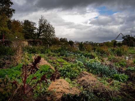 Jardins des Loups · Nouvelles Élégances