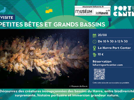 Visite guidée : Petites bêtes et grands bassins
