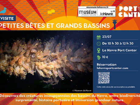 Visite guidée : Petites bêtes et grands bassins