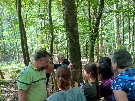 Tous en forêt !