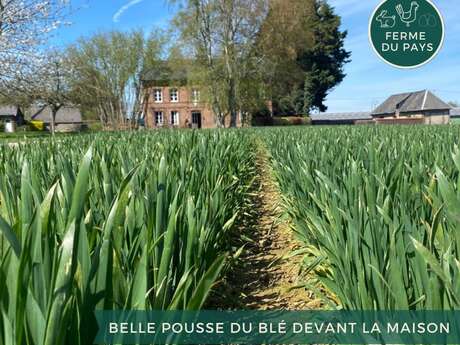 La Ferme du Pays