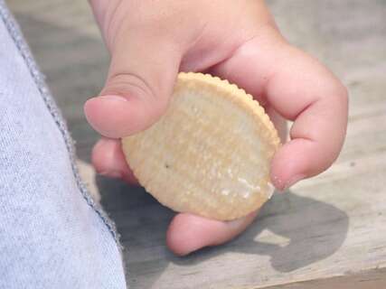À Petits Pas : "Bien dans son assiette"