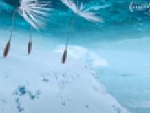 Festival du film d'animation | Diffusion : Planètes
