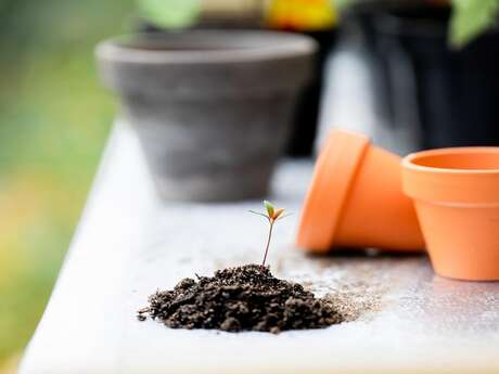 Rendez-Vous aux Jardins