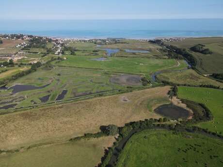 Découverte du chantier de la Basse Saâne