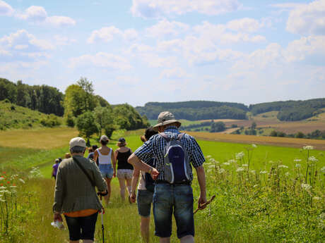 Randonnée à Argueil