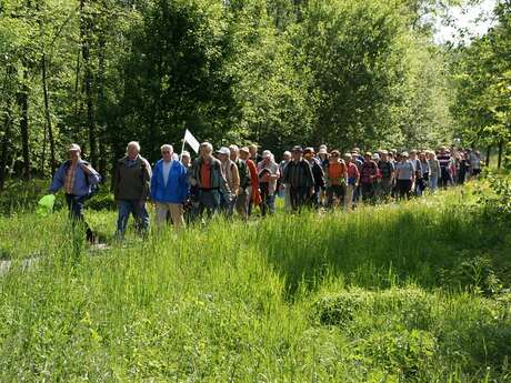 Randonnée et trail "La Landaise" & Barbecue