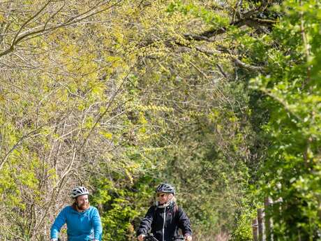Vélo-enquête "Le Calice Sacré"