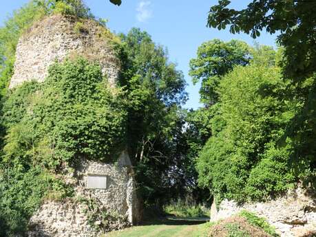 Vestiges du Château Gauthier Giffard