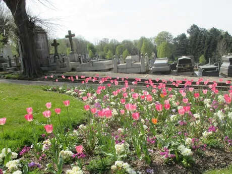 Le printemps des cimetières