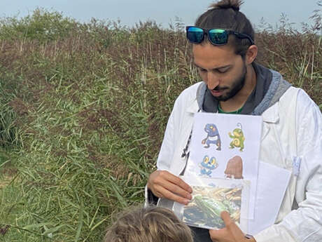 Mercredi nature de l'été : Pokémon