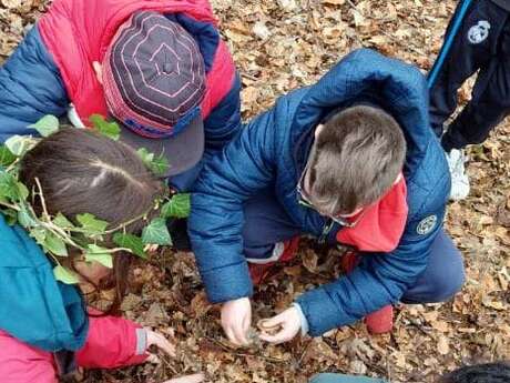 Sortie nature : Arboretum de Rouelles