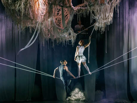 Cirque : Knitting peace