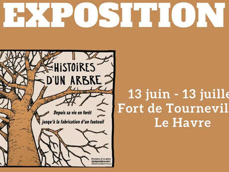 Exposition : Histoire d'un arbre - Depuis sa vie en forêt jusqu’à la fabrication d’un fauteuil