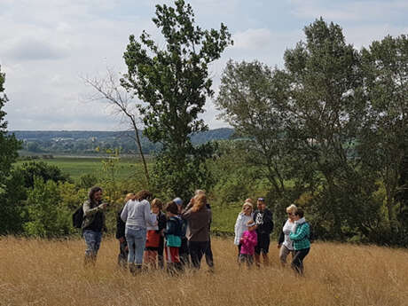 Mercredi nature de l'été : Les libellules Mercredi nature de l'été : Les libellules