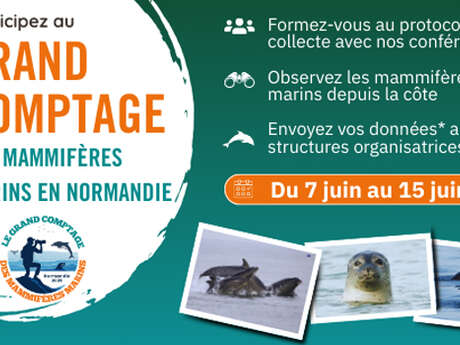 Conférence : Les mammifères marins en Normandie