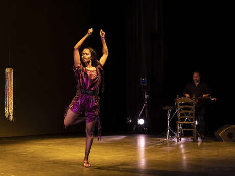 Danse : The Disappearing Act