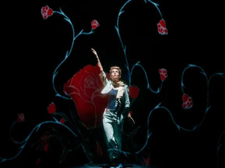 Théâtre : Le Petit Prince