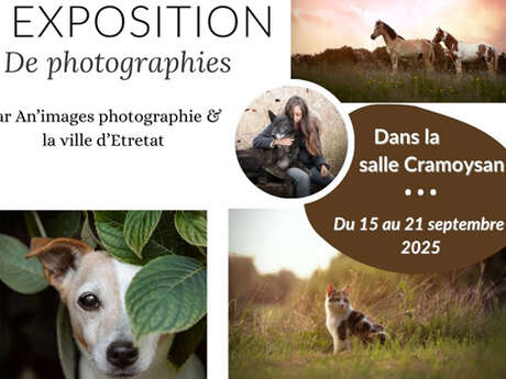 Exposition : An'images