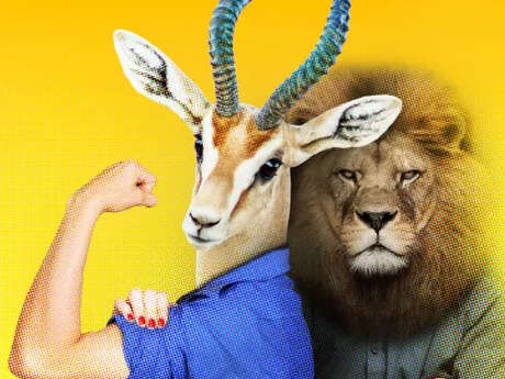 Conférence : Girl power VS mâle alpha - Le genre dans le règne animal