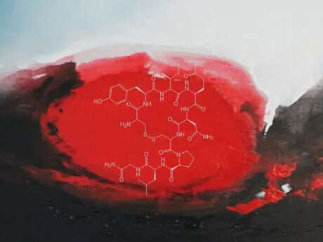Conférence : À l’ombre d’Eros : chimie de l’amour ?