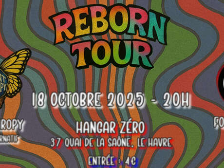Concert : Reborn Tour