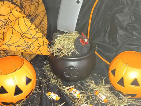 Atelier : Halloween & les betteraves sucrières