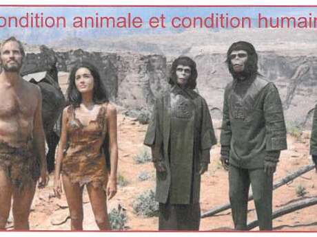 Conférence : Condition animale et condition humaine