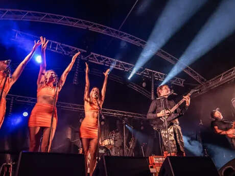 Concert : Didier Super