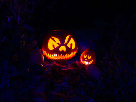 Fit Challenge Spécial Halloween