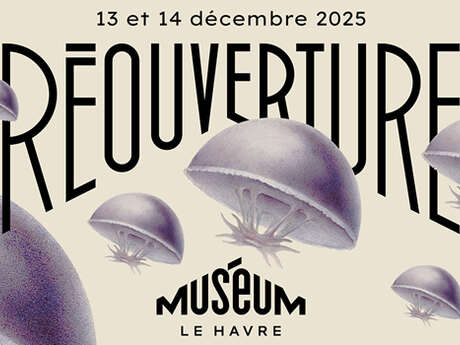 Réouverture du Musuém