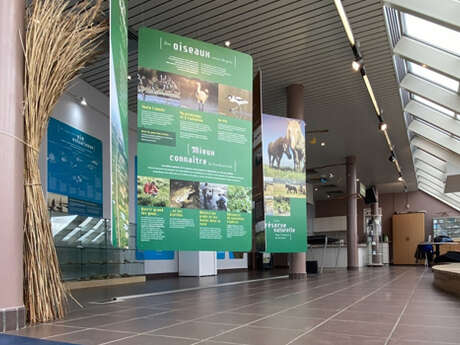 Mercredi Nature : Escape Game