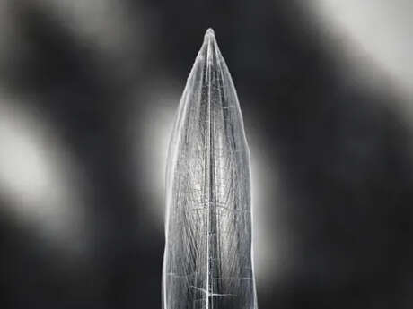 Exposition : La Furie et la foi