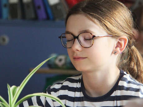 Atelier : Animaux du monde