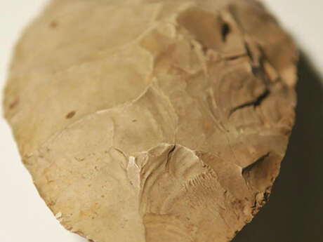 Atelier : Inventions préhistoriques