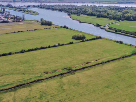 Sortie nature : Balade au marais de Cressenval