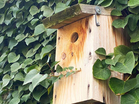 Mercredi nature : On prépare le printemps