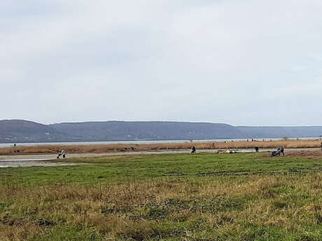 Opération citoyenne : Nettoyage du reposoir