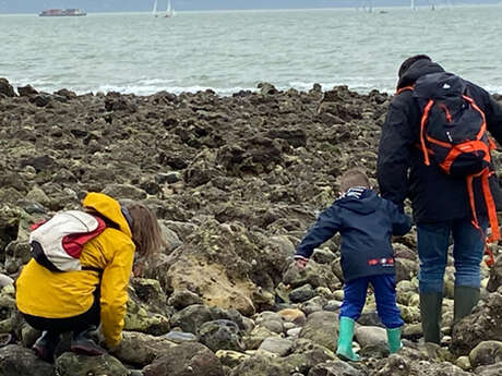 Sortie nature : Pêche à pied